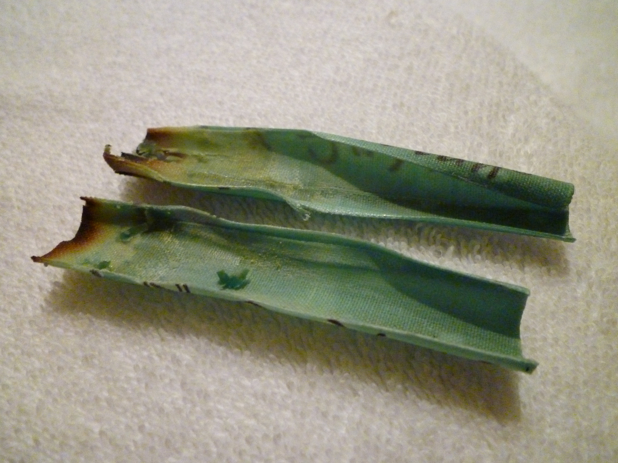 ear candling wax ear candling wax